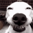 smilish